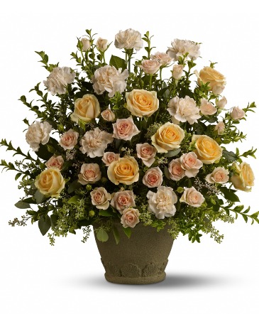 Rose Tribute  in Arlington, TX | Wilsons In Bloom Florist