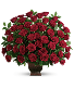 Rose Tribute flowers arrangement sympathy arrangement