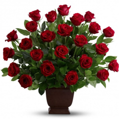 Category Image