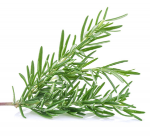 Rosemary Infused Olive Oil 