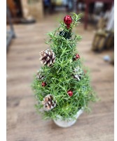 Rosemary Lighted Tree 