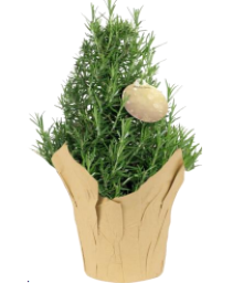Rosemary Topiary FUNDRAISER