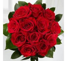 Roses DOZ.RED ROSE BOUQ. $49.99 Premium $ 69.99