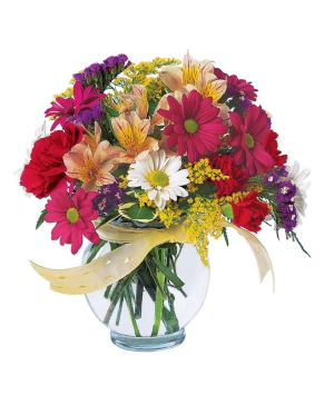 Joyful And Thrilling T121-2 Arrangement