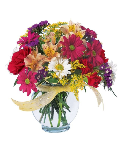 Joyful And Thrilling T121-2 Arrangement