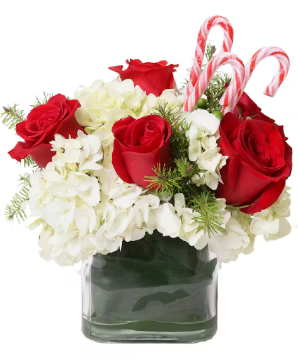 Roses and  hydrangea candy cane bouquet fresh floral