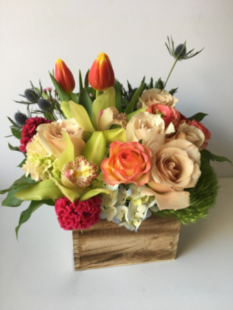 Crush! Designer’s Seasonal Mix