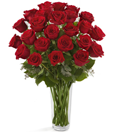 Roses and Romance Two Dozen Roses  in Longview, TX | HAMILL'S FLORIST