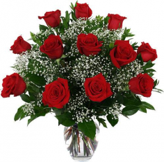 Category Image