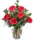 Roses for You! 6 Roses your choice colors