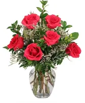 roses for you 6 roses your choice colors