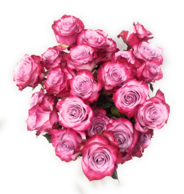 Roses Galore Wrap arrangement