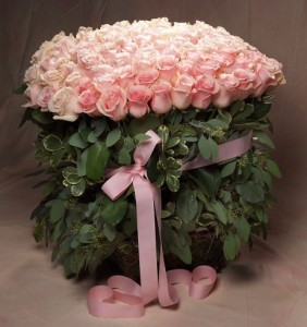Roses Hadge Design
