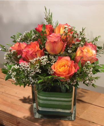 Roses in a cube  in Northfield, VT | Trombly's Flowers and Gifts