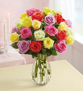 Roses of colors vase