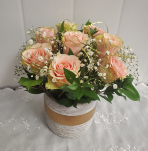 Roses-Simply Classic COLOR VARIES 