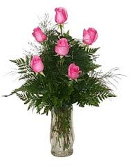 ROSES SIX PINK