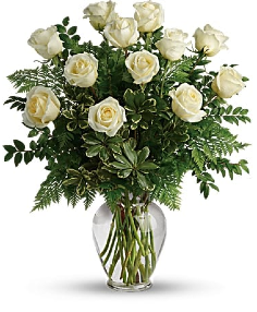 Category Image