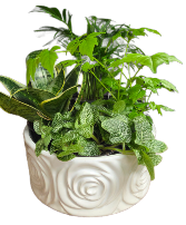 Rosey Pot Garden Planter