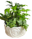 Rosey Pot Garden Planter