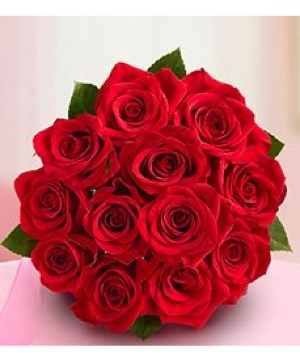 ROSIE ARIEL 1 DOZEN ROSE