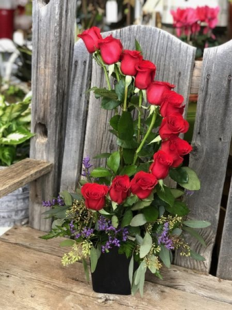 RED ROCK ROSES One dozen roses arranged in a crescent  in Hurricane, UT | Wild Blooms