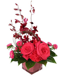 Rosy Orchids & Asters Flower Arrangement