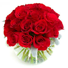 Rouge Balle 2-3 dozen rose arrangement