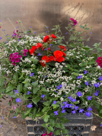 Round flower planter