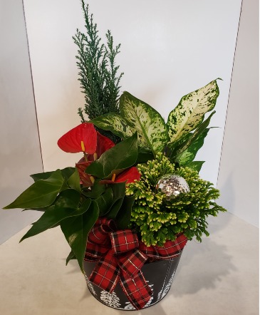 Round Tree Planter Plants in Stouffville, ON | Centerpiece Flowers