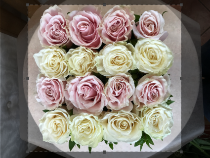 Row of Roses  Boxed Floral Arrangement 