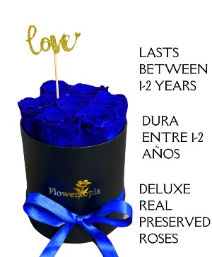 7 Preserved  Blue Roses in a Round Box Preserved Rose Box