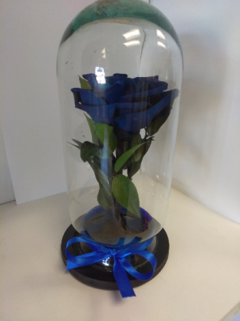 Royal Blue Enchanted Rose Rose