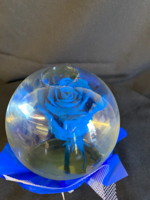 Royal Blue Rose  