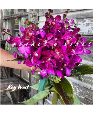 Royal Key West Bouquet Wedding Bouquet in Key West, FL | Petals & Vines