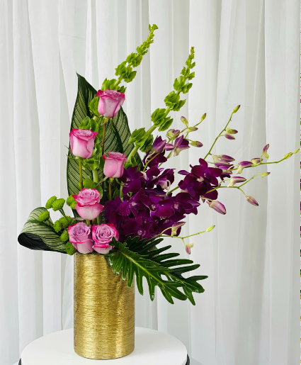 Royal Orchid Majesty Popular