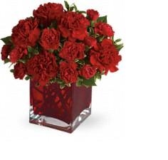 ROYAL ROMANCE Carnation Cube Design