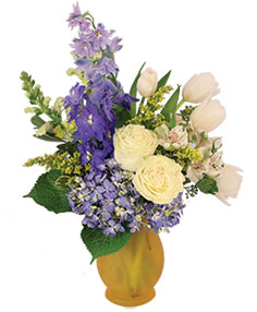 Category Image