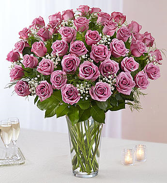RSV48LVAS ROSES