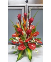 Ruby Anthurium  250.95