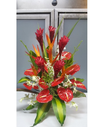 Ruby Anthurium 250.95