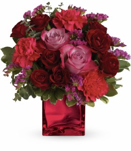 Ruby Rapture HEV231A