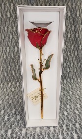 Ruby Sun Gold Dipped Rose 