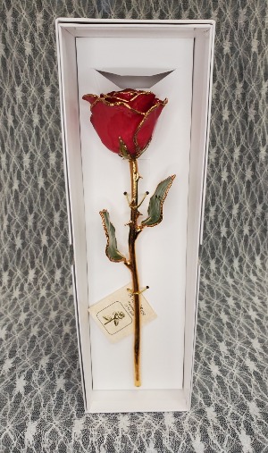 Ruby Sun Gold Dipped Rose 