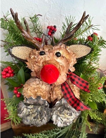 Rudolph the Red Nose Reindeer  in North Platte, NE | PRAIRIE FRIENDS & FLOWERS