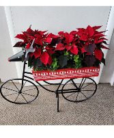 Rudy Reindeer Poinsettia  Planter Bicycle