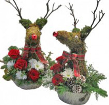 Rudy the red nosed reindeer  Cut flowers in oasis lined  basket
