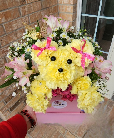 Rufus the ADOG-ABLE  in Vacaville, CA | Vior Floral Art