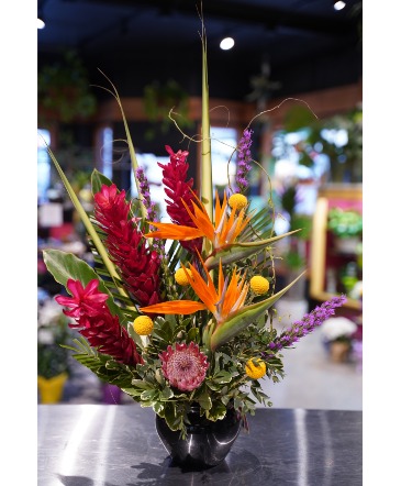 Rum Punch Tropical Design  in South Milwaukee, WI | PARKWAY FLORAL INC.