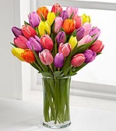 Rush of Color Tulip Bouquet Spring Flowers